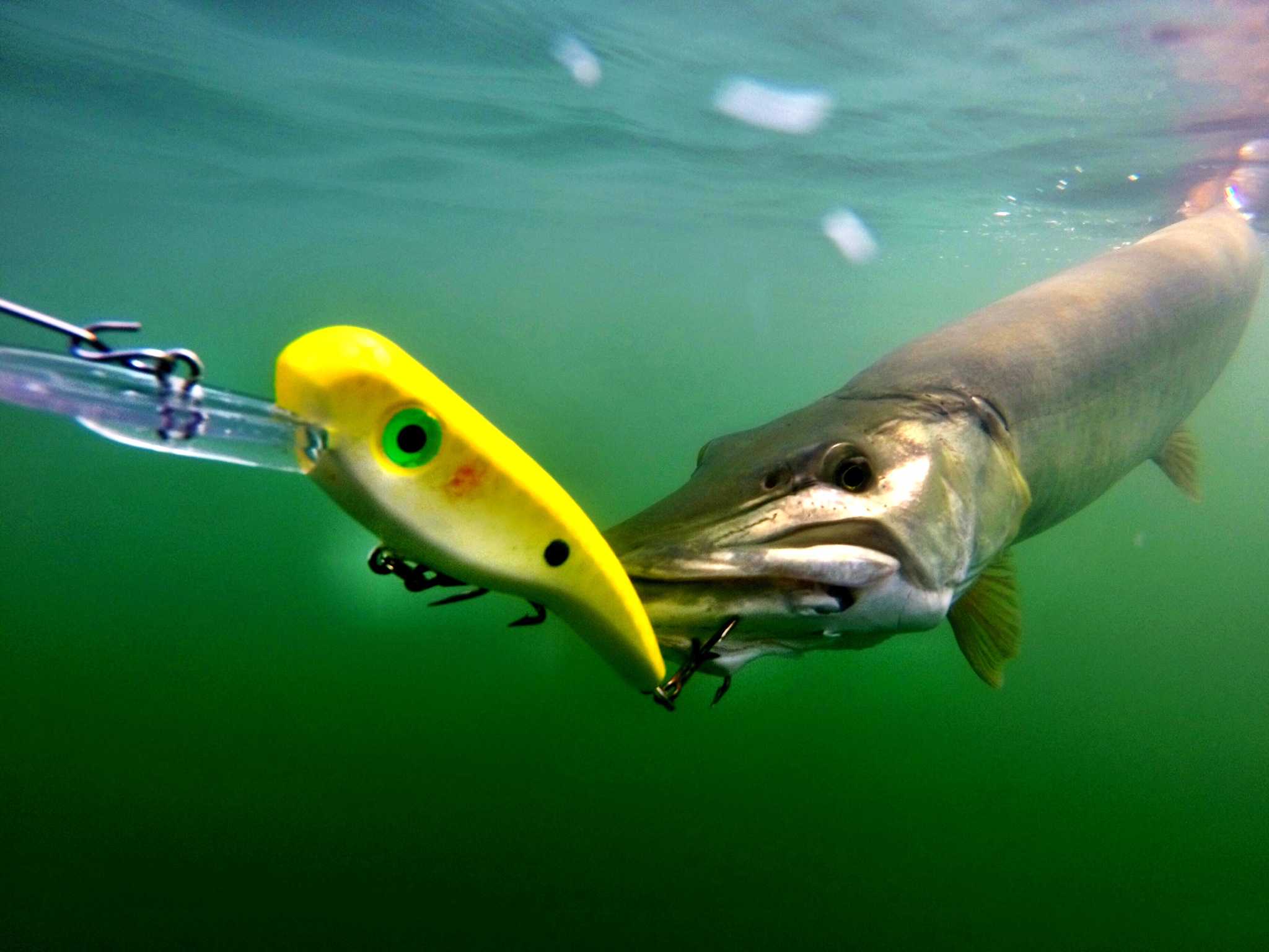 Llungen Lures  Musky Fishing Baits and Fishing Lures